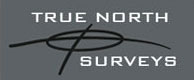 True North Surveys